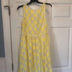 NWT LOFT dress. Size 4